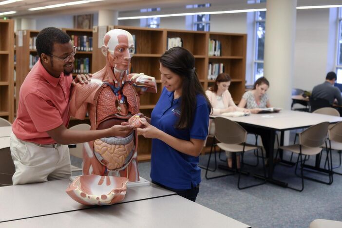 Students looking at anatomical model